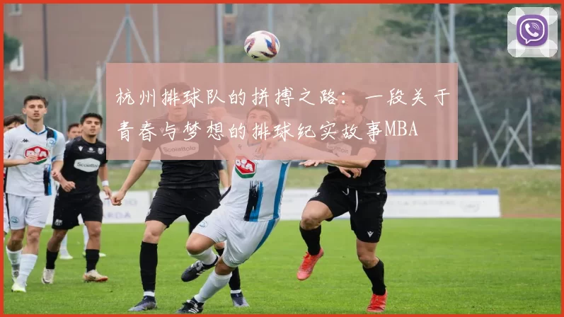 杭州排球队的拼搏之路：一段关于青春与梦想的排球纪实故事MBA