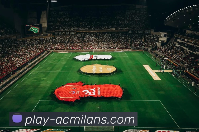 多媒体互动体验